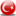 Türkçe